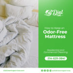 How to Keep an Odor-Free Mattress