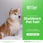 How to remove stubborn pet hair