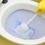 How to Get Rid of Limescale in Your Toilet
