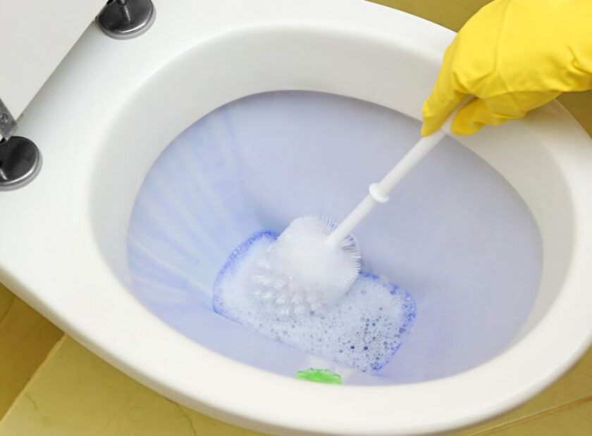 toiletscrubbing_414422
