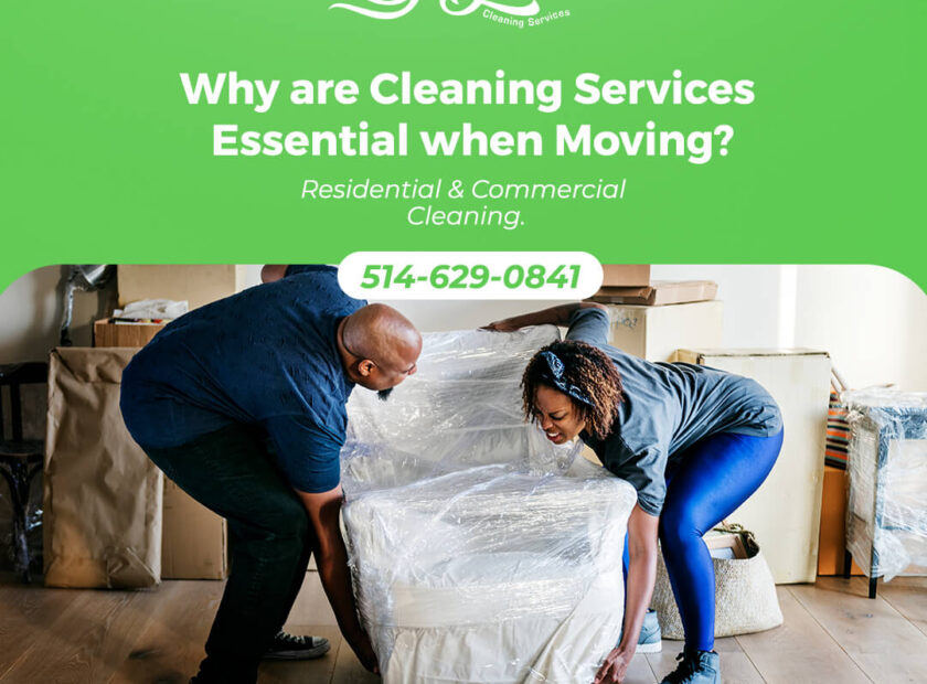 Essential-when-Moving