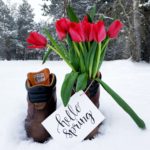 Why Spring Cleaning is More Important Than You Think