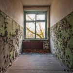 How To Prevent Mold Growth In Your Home.
