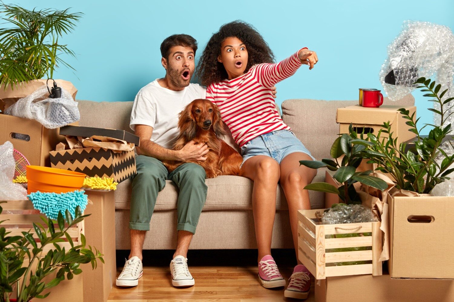 terrfied-mixed-race-family-couple-point-into-distance-see-amazing-thing-notice-something-terrible-sit-comfortable-sofa-with-dog-change-place-living-surrounded-with-packages-personal-stuff 1
