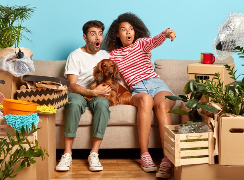 terrfied-mixed-race-family-couple-point-into-distance-see-amazing-thing-notice-something-terrible-sit-comfortable-sofa-with-dog-change-place-living-surrounded-with-packages-personal-stuff 1