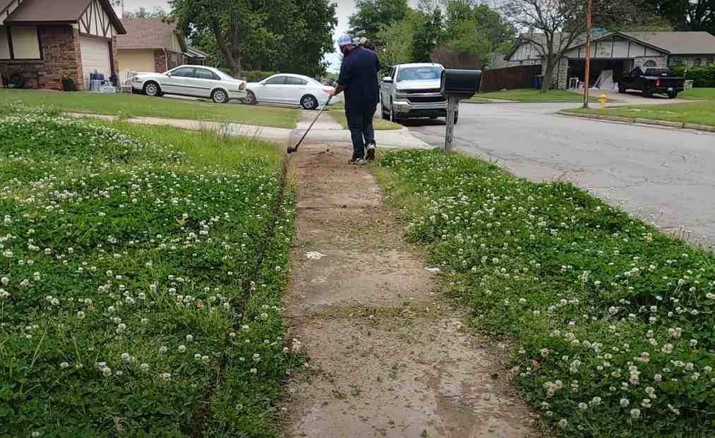 yard cleaning services