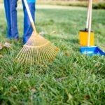 Yard Clean Up Services